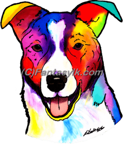 Border Collie (smooth) 2 Border Collie (smooth) 2